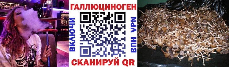 Галлюциногенные грибы мухоморы  где купить   Балтийск 