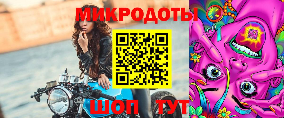 Галлюциногенные грибы мухоморы Балтийск