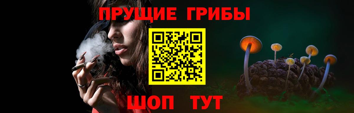 Псилоцибиновые грибы Psilocybine cubensis  Вход с VPN  Балтийск 