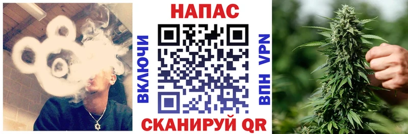 Каннабис Ganja где найти наркотики Балтийск